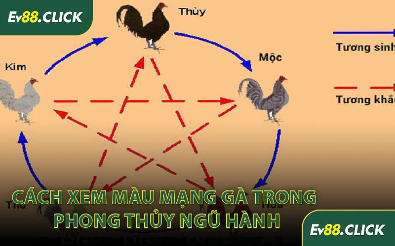 Cách Xem Màu Mạng Gà Trong Phong Thủy Ngũ Hành