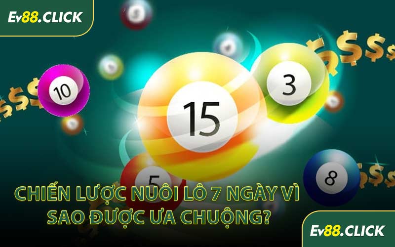 Chiến Lược Nuôi Lô 7 Ngày Vì Sao Được Ưa Chuộng?