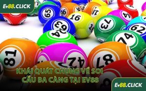 Khái Quát Chung Về Soi Cầu Ba Càng Tại EV88