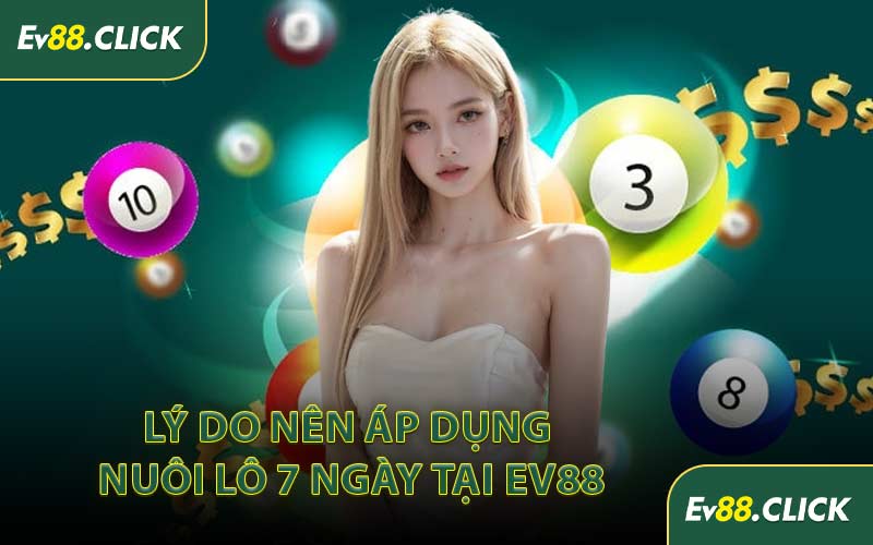 Lý Do Nên Áp Dụng Nuôi Lô 7 Ngày Tại EV88
