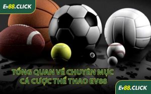 Tổng Quan Về Chuyên Mục Cá Cược Thể Thao EV88